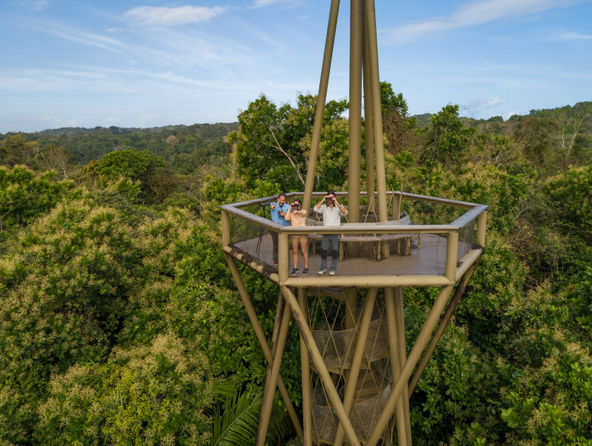 Soberanía National Park, Near Panama City, Panama